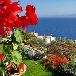 ЛУЧШИЕ ПРЕДЛОЖЕНИЯ ДНЯ!