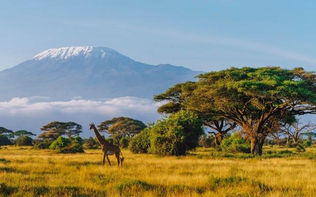 Откройте для себя незабываемый отдых в Кении