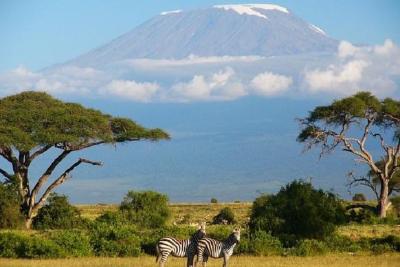 Погрузитесь в дикую природу Кении
