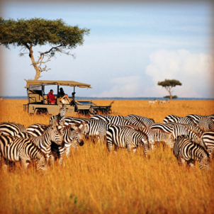 Приключение мечты начинается прямо из Алматы!