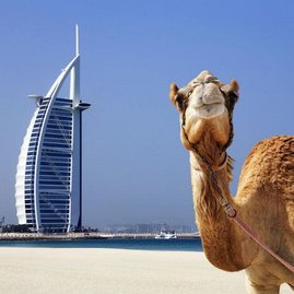 ТУР В РОСКОШНЫЕ ЭМИРАТЫ