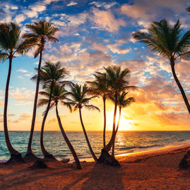 Отправляйтесь в сказочный мир ОАЭ!