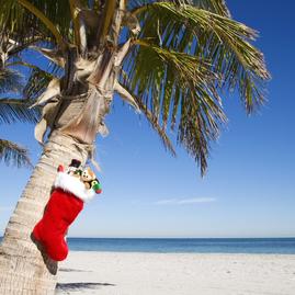 Отправляйся в экзотические страны и встречай Новый год в тепле!