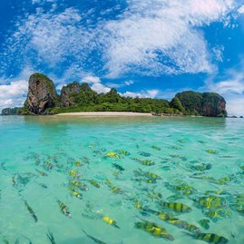 Откройте вьетнамскую сказку