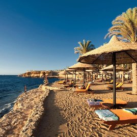 Изучите культуру Египта!