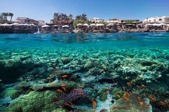 Отдыхай в роскошном Египте!