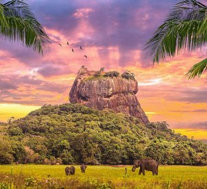 Откройте для себя волшебство Шри-Ланки