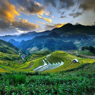 Откройте для себя Дананг