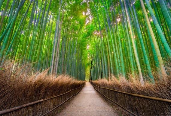 Япония с востока на запад