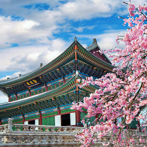 Волшебная Южная Корея